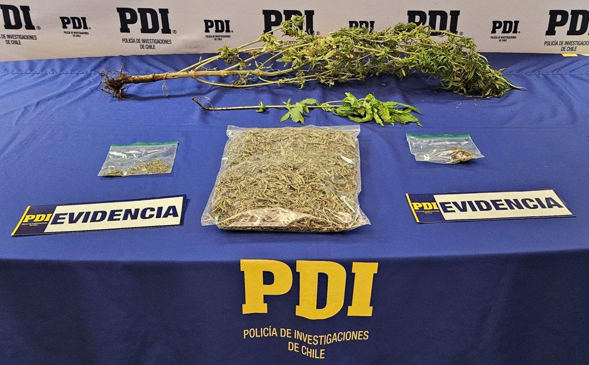 /operativo-mt-0-permitio-la-incautacion-de-cannabis-en-caldera