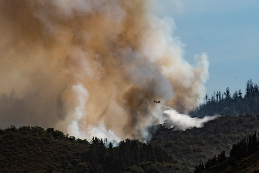 /cerca-de-300-incendios-forestales-en-la-provincia-de-concepcion