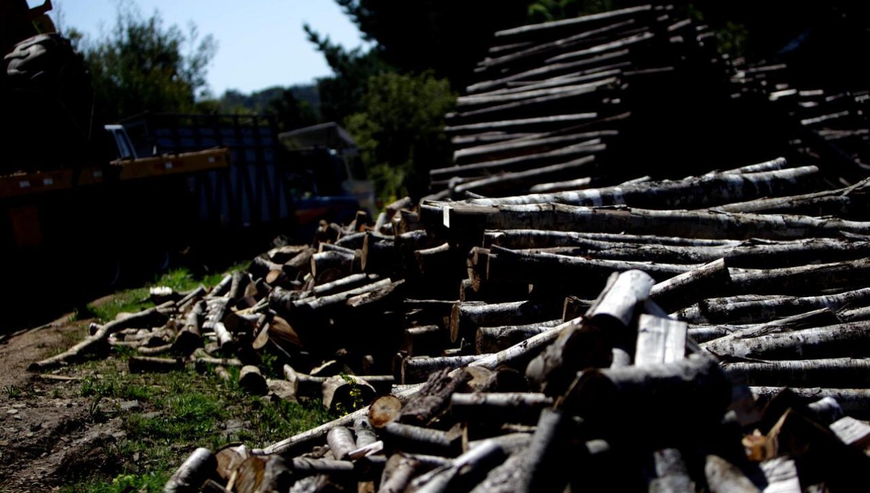 /formalizan-a-seis-sujetos-y-un-excarabinero-por-robo-de-madera-quedaron-en-libertad-y-sin-cautelares