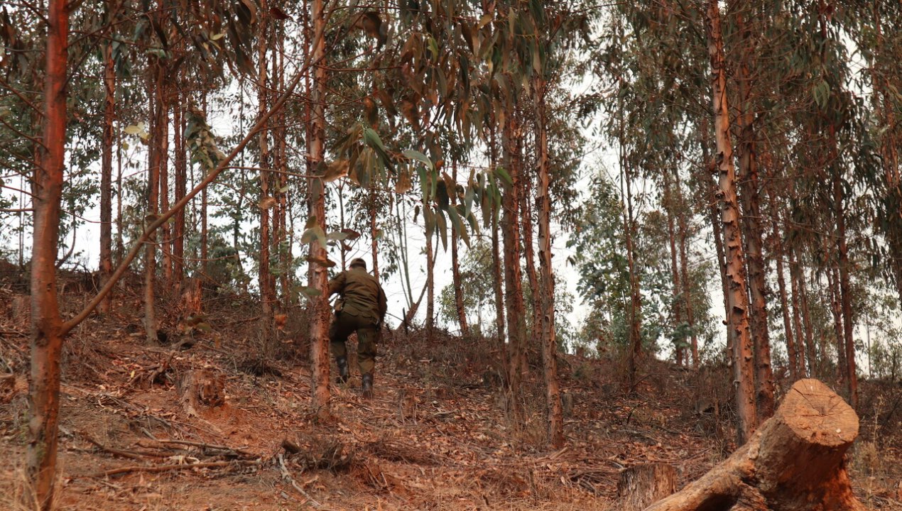 /gobierno-anuncia-subsidio-para-trabajadores-afectados-por-los-incendios-forestales