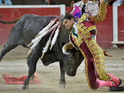 /impactante-torero-se-elevo-a-cuatro-metros-de-altura-tras-ser-corneado-en-mexico